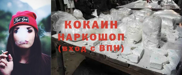 a pvp Ельня