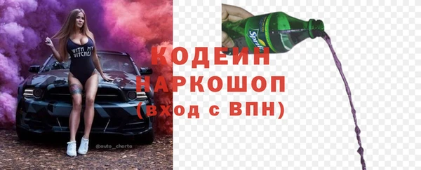 a pvp Ельня