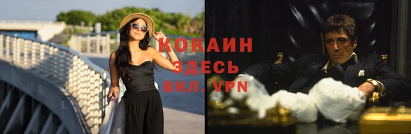 Альфа ПВП Елизово