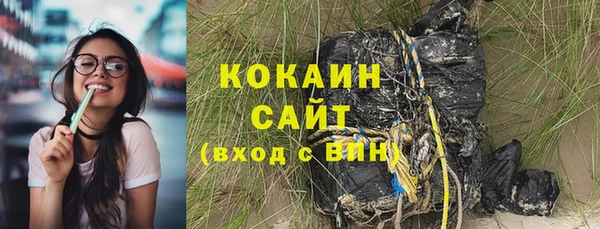 a pvp Ельня
