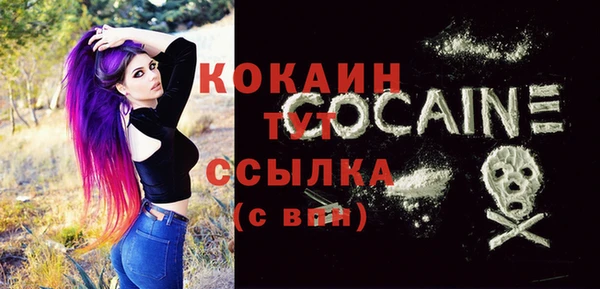 a pvp Ельня