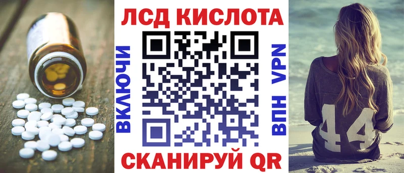 дарнет шоп  ссылка на мегу   Лсд 25 экстази ecstasy  Правдинск 