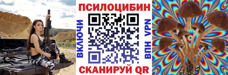 Псилоцибиновые грибы мухоморы  как найти наркотики  OMG вход  Правдинск 